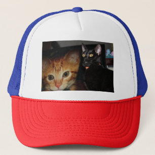 Gorra De Camionero Gato