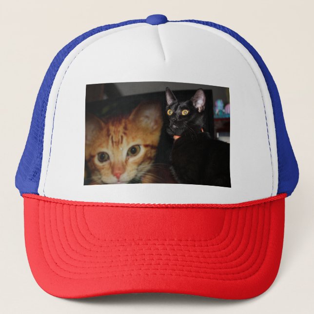 Gorra De Camionero Gato (Anverso)