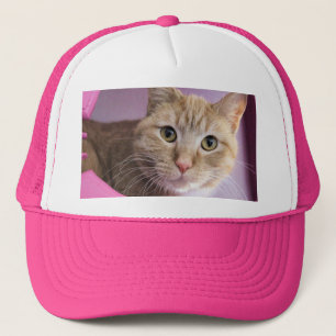 Gorra De Camionero Gato