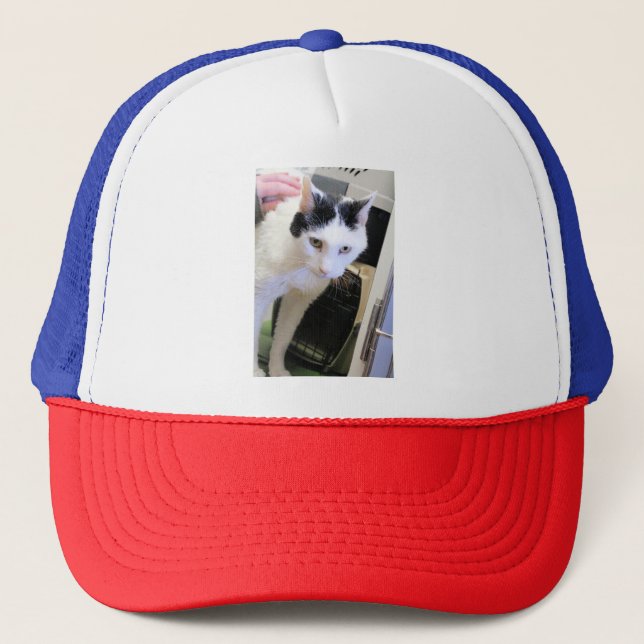 Gorra De Camionero Gato (Anverso)