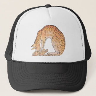 Gorra De Camionero gato con pez