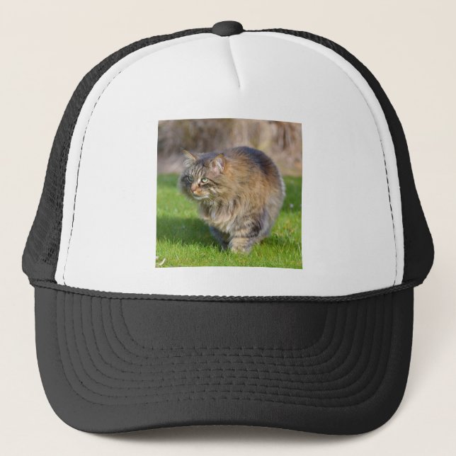 Gorra De Camionero Gato de Angora (Anverso)