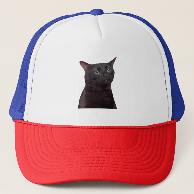 Gorra De Camionero Gato de zumbido hacia fuera, hacia fuera (Anverso)