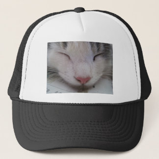 Gorra De Camionero Gato durmiente