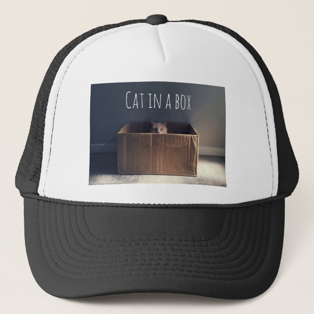 Gorra De Camionero Gato en una caja. El maestro del gato Zen. (Anverso)