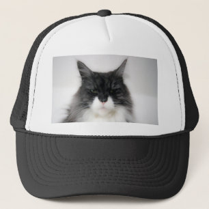 Gorra De Camionero gato enojado
