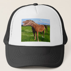 Gorra De Camionero Gatorse