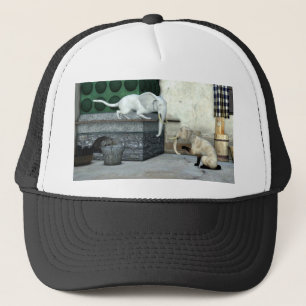 Gorra De Camionero Gatos elefantes adorables