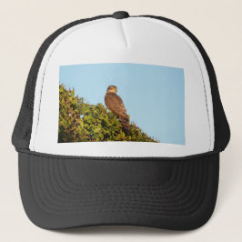 Gorra De Camionero Gavilán