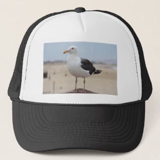 Gorra De Camionero Gaviota