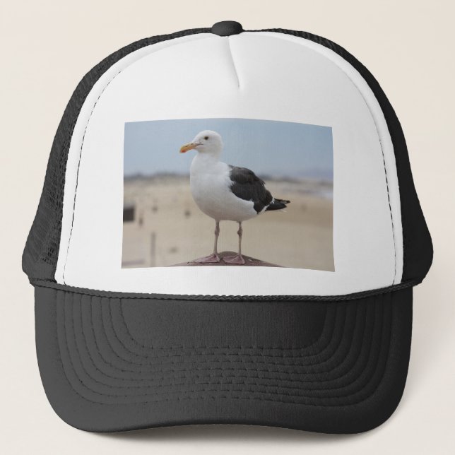 Gorra De Camionero Gaviota (Anverso)