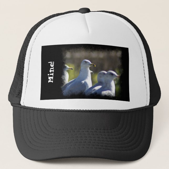 Gorra De Camionero Gaviota en un tren (Anverso)