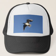 Gaviota pequeña