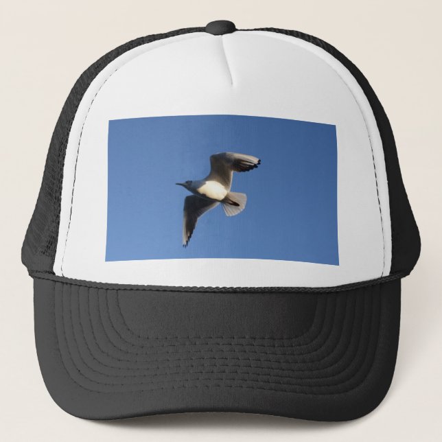 Gorra De Camionero Gaviota pequeña (Anverso)