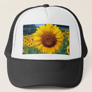 Gorras Del Girasol 