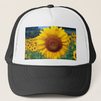 Gorra De Camionero Girasol