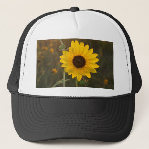 Gorra De Camionero Girasol de Kansas