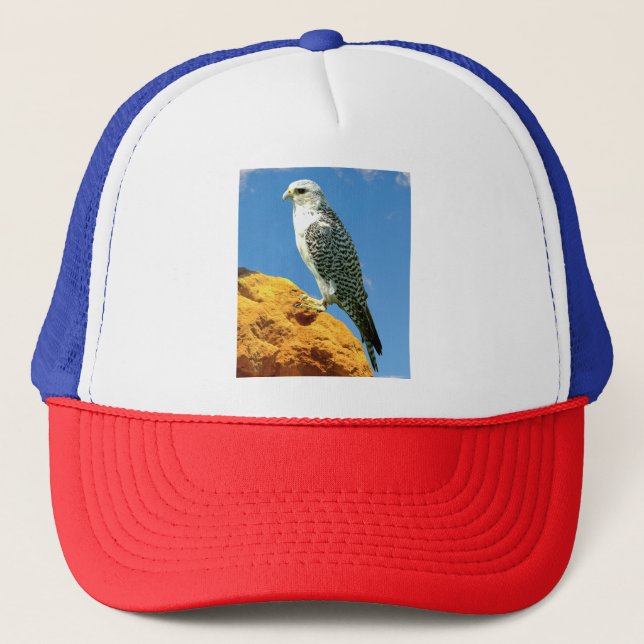 Gorra De Camionero Girfalcón encaramado sobre una roca (Anverso)