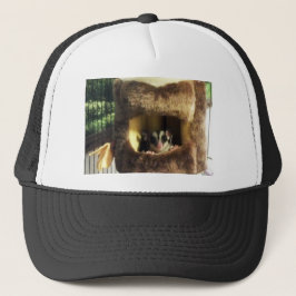 Gorra De Camionero Glider azucarero en camión de árbol furtivo colgan