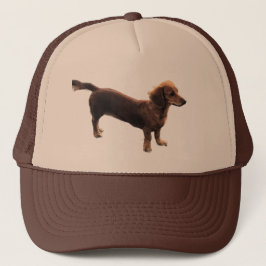 Gorra De Camionero Golden Dachshund