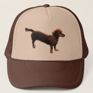 Gorra De Camionero Golden Dachshund