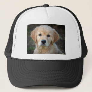 Gorra De Camionero Golden Retriever Puppy