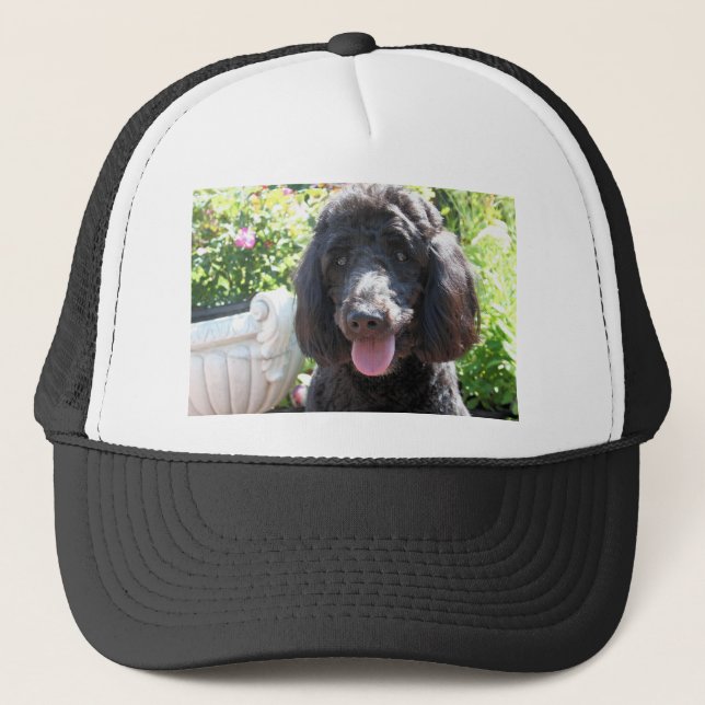 Gorra De Camionero GoldenDoodle Abby 1 (Anverso)