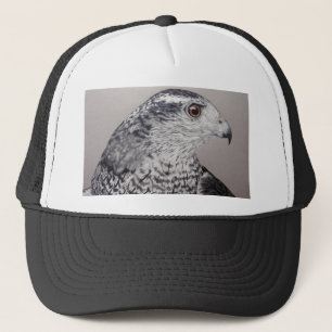 Gorra De Camionero Goshawk septentrional