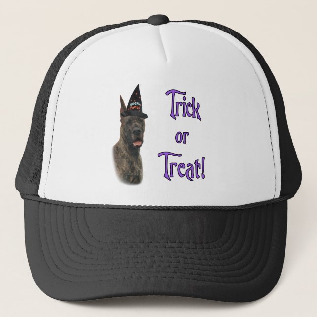 Gorra De Camionero Gran Dane (romano le) Trick (Anverso)