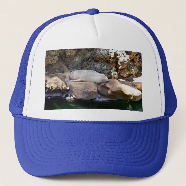 Gorra De Camionero Gran foca macho dormida sobre rocas, (Anverso)