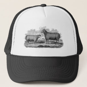 Gorra De Camionero Granja retra del ilustracion de la oveja de las