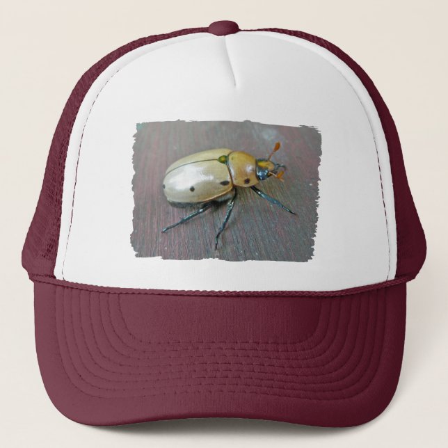 Gorra De Camionero Grapevine Beetle (Pelidnota punctata) Series (Anverso)