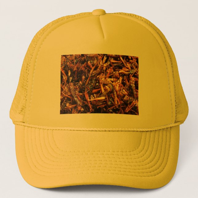 Gorra De Camionero Grasas fritas (Takkataen Thot) Comida asiática (Anverso)