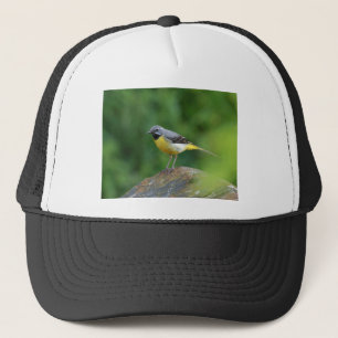 Gorra De Camionero Gray Wagtail - pájaro