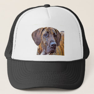 Gorra De Camionero Great dane