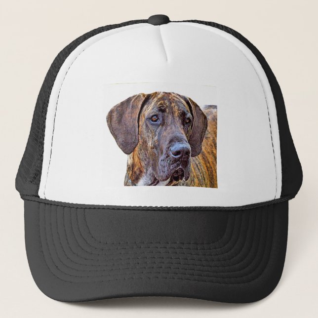 Gorra De Camionero Great dane (Anverso)