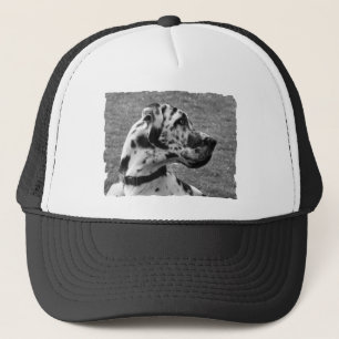 GORRA DE CAMIONERO GREAT DANE