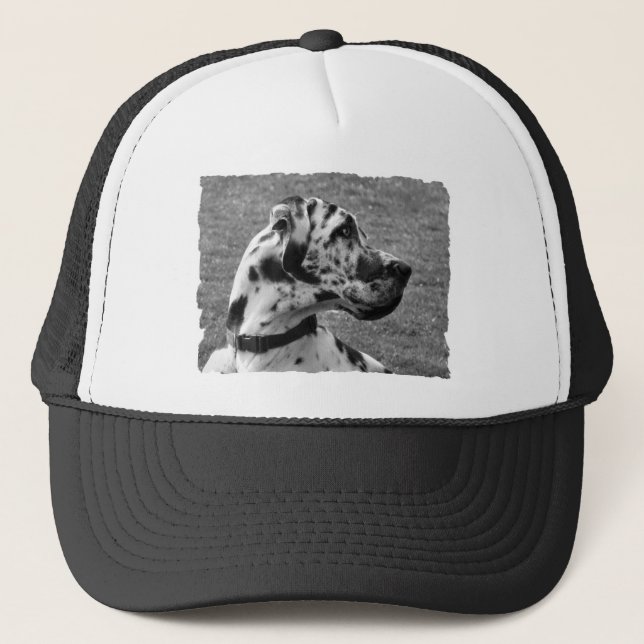 GORRA DE CAMIONERO GREAT DANE (Anverso)