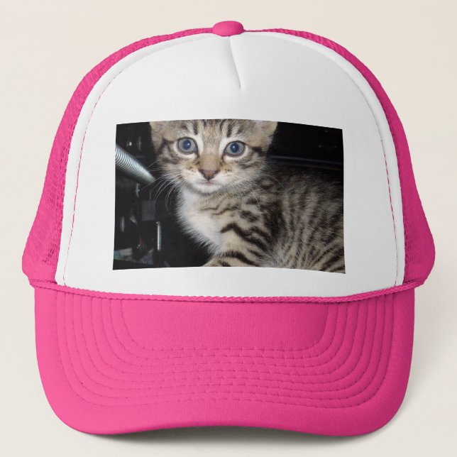 Gorra De Camionero Gris Gris Azul Oído Fluffy Kitten, (Anverso)
