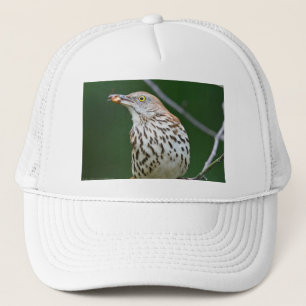 Gorra De Camionero Grosera marrón con la ropa de regalo de la captura