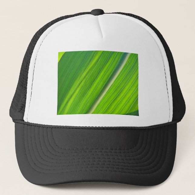 Gorra De Camionero Grünes Maisblattdesign (Anverso)