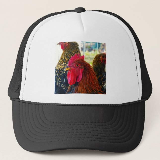 Gorra De Camionero Guapo (Anverso)