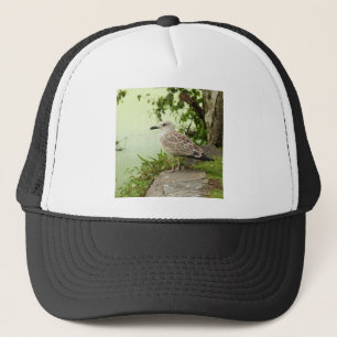 Gorra De Camionero Gull