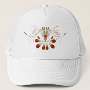 Gorra De Camionero Haeckel