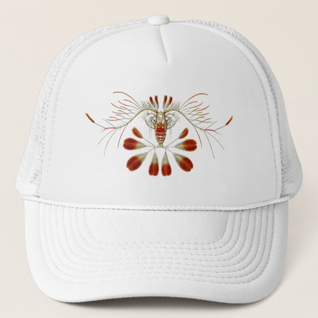 Gorra De Camionero Haeckel (Anverso)