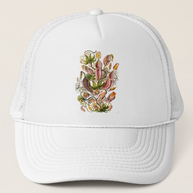 Gorra De Camionero Haeckel (Anverso)