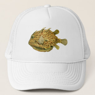 Gorra De Camionero Haeckel Fish