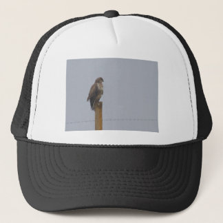 Gorra De Camionero Halcón