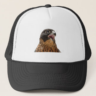 Gorra De Camionero Halcón de peregrino personalizado