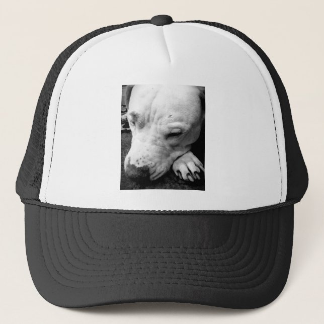 Gorra De Camionero harry potter scar dog white pit bull (Anverso)